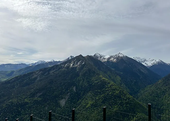 Perce Neige Lagrange *